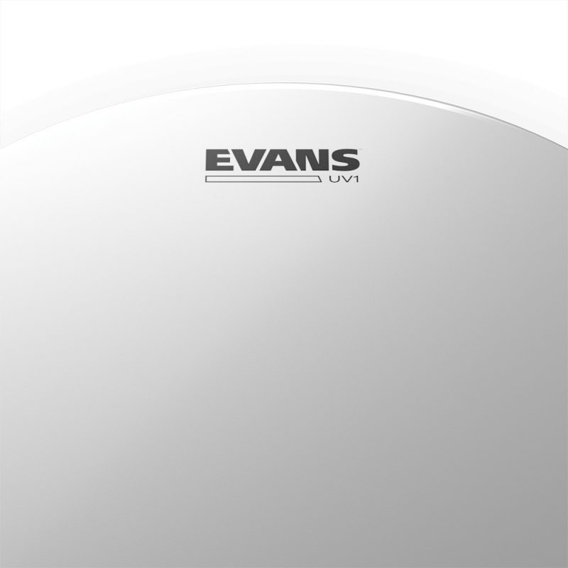 Evans UV1 Coated 8in Drum Head 5