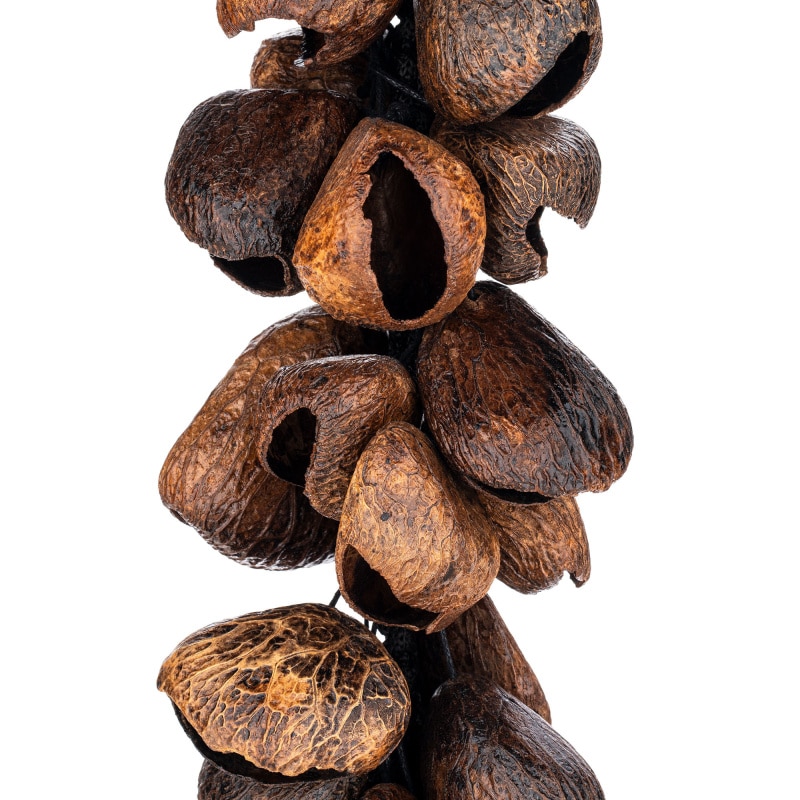 Meinl Pangi Waterfall Shaker, 40 Seeds - Image 2