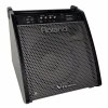 Roland V-Drums monitor for drummers, portable audio equipment for percussionists.