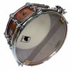 Mapex Black Panther 14x6.5in Birch/Walnut Snare Drum for Drummers Only.