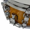 Mapex Black Panther snare drum lugs and hardware close-up.